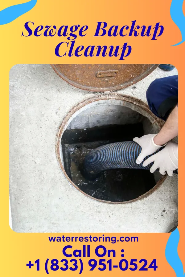 Sewage Backup Cleanup in Sheffield Lake, OH