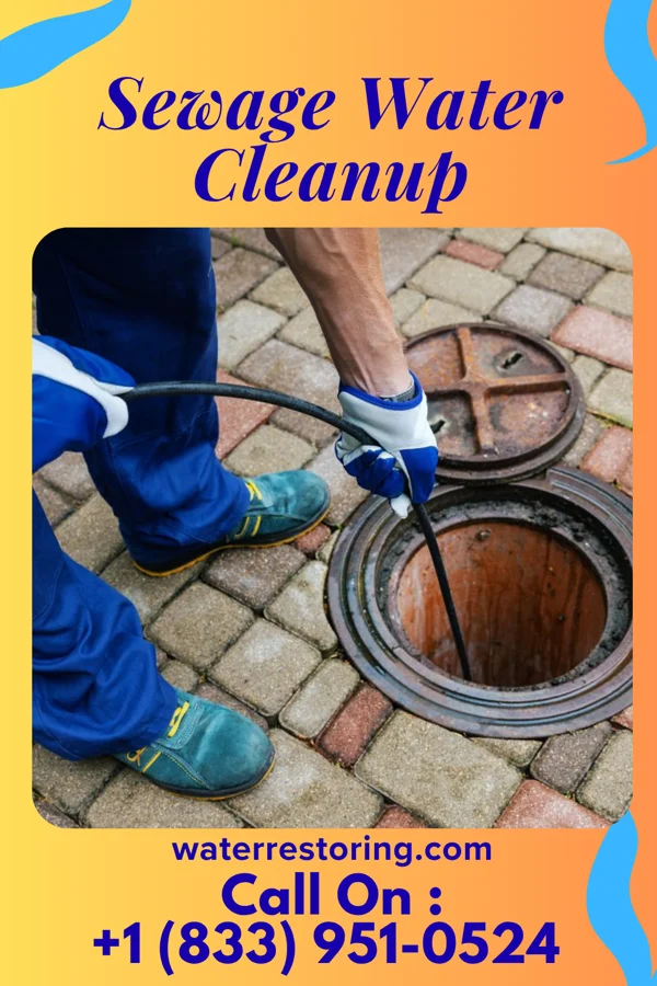 Sewage Water Cleanup in Sheffield Lake, OH